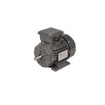 TEC Motors T2A Clockwise AC Motor, 250 W, IE2, 3 Phase, 4 Pole, Foot Mount Mounting
