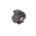 TEC Motors T2A Clockwise AC Motor, 370 W, IE2, 3 Phase, 4 Pole, Foot Mount Mounting