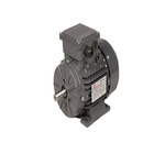 TEC Motors T3A Anti Clockwise, Clockwise AC Motor, 1.1 kW, IE3, 2 Pole, Foot Mount Mounting