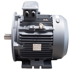 TEC Motors T3C Anti Clockwise, Clockwise AC Motor, 37 kW, IE3, 2 Pole, Foot Mount Mounting