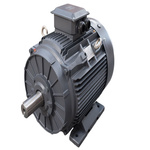 TEC Motors T3C Anti Clockwise, Clockwise AC Motor, 37 kW, IE3, 4 Pole, Foot Mount Mounting