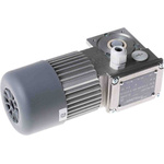 Mini Motor Reversible Induction Geared AC Geared Motor, 49 W, 3 Phase, 230 V, 400 V