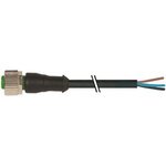 Murrelektronik Limited, 7000 Series, Straight M12 to Unterminated Cable assembly, 3m Cable