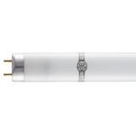 GlassGuard 18 W T8 Fluorescent Tube , Shatterproof with Fragment Retention, 600mm, G13