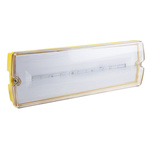 RS PRO 3 W LED Bulkhead Light, 110 V Rectangular Ceiling Light, IP65