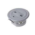 RS PRO LED Emergency Lighting, Recessed, 2 x 1.5 W, Maintained, Non Maintained