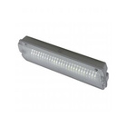 Ansell Lighting 3 W LED Ceiling Light Batten, 230 V Damp Proof Light, IP65