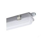 PowerLED 40 W LED Batten Light, 240 V ac LED Batten, 1.867 m Long, IP65