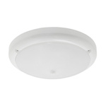 SHOT Circular LED Bulkhead Light, 15 W, 240 V, , Lamp Supplied, IP54, LED PIR