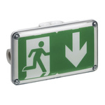 Legrand LED Emergency Lighting, Bulkhead, 1 W, Non Maintained