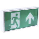 RS PRO LED Emergency Lighting, Bulkhead, 3 W, Maintained