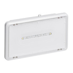 Legrand LED Emergency Lighting, Bulkhead, 0.5 W