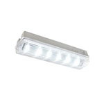 EMERGI-LITE LED Emergency Lighting, Surface Mount, 3.5 W, Maintained, Non Maintained