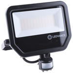 LEDVANCE FL PFM Floodlight, 50 W, 5500 lm, IP65, 100 → 277 Vac