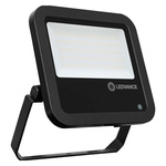 LEDVANCE FL PFM Floodlight, 20 W, 8000 lm, IP65 Daylight, 100 → 277 Vac