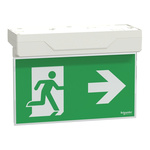 Schneider Electric Emergency Lighting