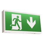 4lite UK Fluorescent Emergency Lighting, Wall, 3 W, Maintained, Non Maintained