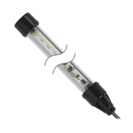 Banner LED Machine Light, 12 → 30 V dc