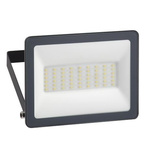 Schneider Electric IMT47210 LED Work Light, 30 W, 230 V, IP65