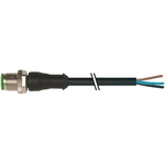 Murrelektronik Limited, 7000 Series, Straight Male M12 Industrial Automation Cable Assembly, 3 Core 1.5m Cable