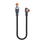 Lumberg Automation, RST Series, Straight Male to Angled Female Cordset, 3 Core 600mm Cable