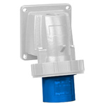 Legrand, P17 Tempra Pro IP66, IP67 Blue Wall Mount 2P+E Right Angle Industrial Power Socket, Rated At 16.0A, 230.0 V