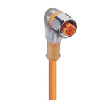 Lumberg Automation, PRKWT/LED Series, Angled Female M12 to Open lead Cordset, 4 Core 5m Cable