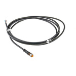 Lumberg Automation Cable Assembly