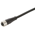Brad, Micro-Change Series, Straight M12 to Unterminated Cable assembly, 3 Core 5m Cable