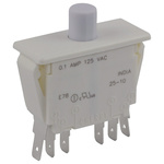 Double Pole Double Throw (DPDT) Push Button Switch, 100 mA @ 125 V ac