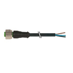 Murrelektronik Limited, 7000 Series, Straight M12 to Straigth M12 Connector & Cable, 4 Core 5m Cable