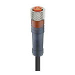 Lumberg Automation, RKMV Series, Straight Female M8 to Open Lead Cordset, 4 Core 3m Cable