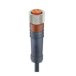 Lumberg Automation, RKMV Series, Straight Female M8 to Open Lead Cordset, 3 Core 1.85m Cable