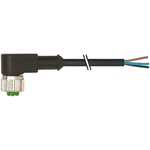 Murrelektronik Limited, 7000 Series, Right Angle M12 to Unterminated Cable assembly, 3m Cable