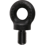 RS PRO Carbon Steel Eye Bolt, M16 Thread, 20mm Thread Length, 20mm Internal Eye Diameter, 44mm Outer Eye Diameter, 0.8t