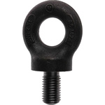 RS PRO Carbon Steel Eye Bolt, M24 Thread, 40mm Thread Length, 77mm Internal Eye Diameter, 77mm Outer Eye Diameter, 2.5t
