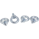 Schneider Electric Eye Bolt