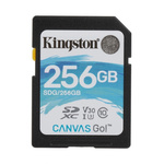 Kingston 256 GB SD Micro SD Card
