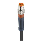 Lumberg Automation, RSMV Series, Straight Male M8 to Open lead Cordset, 4 Core 5m Cable