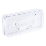 RS PRO LED Emergency Lighting, Bulkhead, 2 x 0.5 W, Maintained, Non Maintained