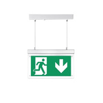RS PRO LED Emergency Lighting, 3 W, Maintained