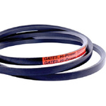 Gates Drive Belt, belt section Z, 1000mm Length