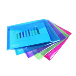 Rapesco Assorted A5 Punched Pocket