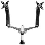 StarTech.com Desk Mounting Monitor Arm for 2 x Screen, 30in Screen Size