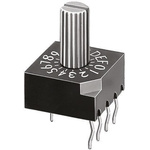 KNITTER-SWITCH 10 Way Through Hole DIP Switch, Rotary Shaft Actuator