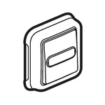 Legrand Grey Rocker Light Switch, Plexo