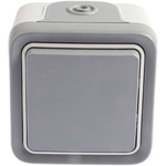 Legrand Grey Outdoor Light Switch, Plexo