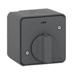 Schneider Electric Grey Timer Light Switch, 1 Gang, Mureva Styl