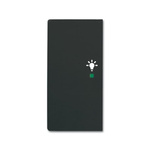 ABB Black 2 Gang Light Switch Cover