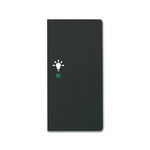 ABB Black 2 Gang Light Switch Cover